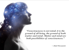 The Consciousness Conjecture